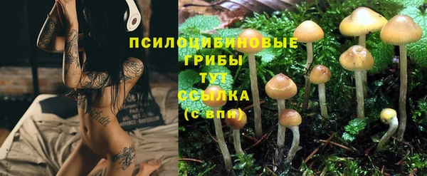 бошки Абаза
