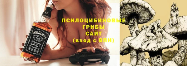 бошки Абаза